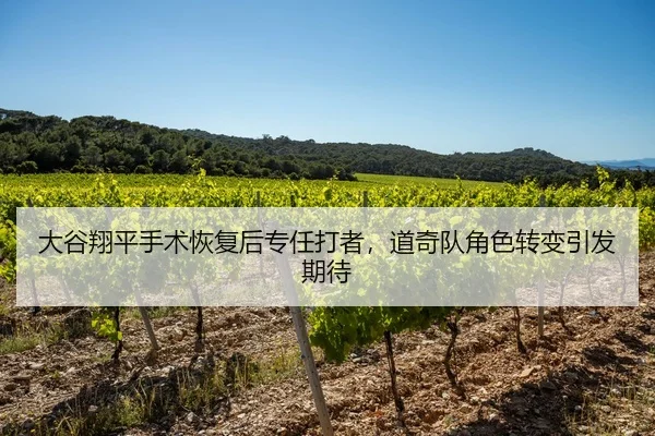大谷翔平手术恢复后专任打者，道奇队角色转变引发期待