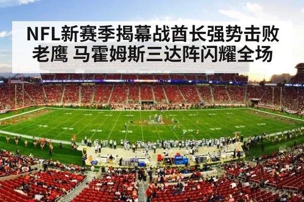 NFL stadium crowd